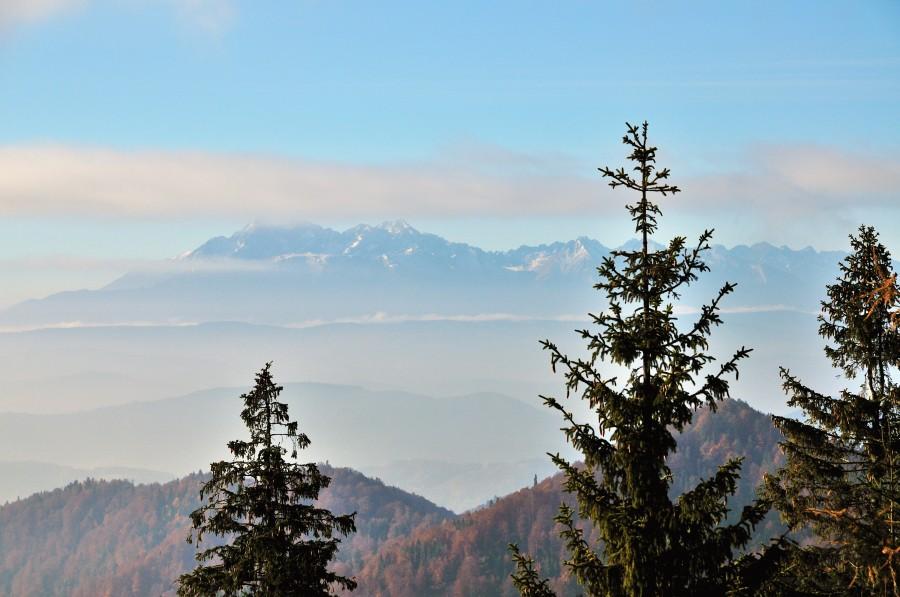 Panorama Tatr z Przehyby