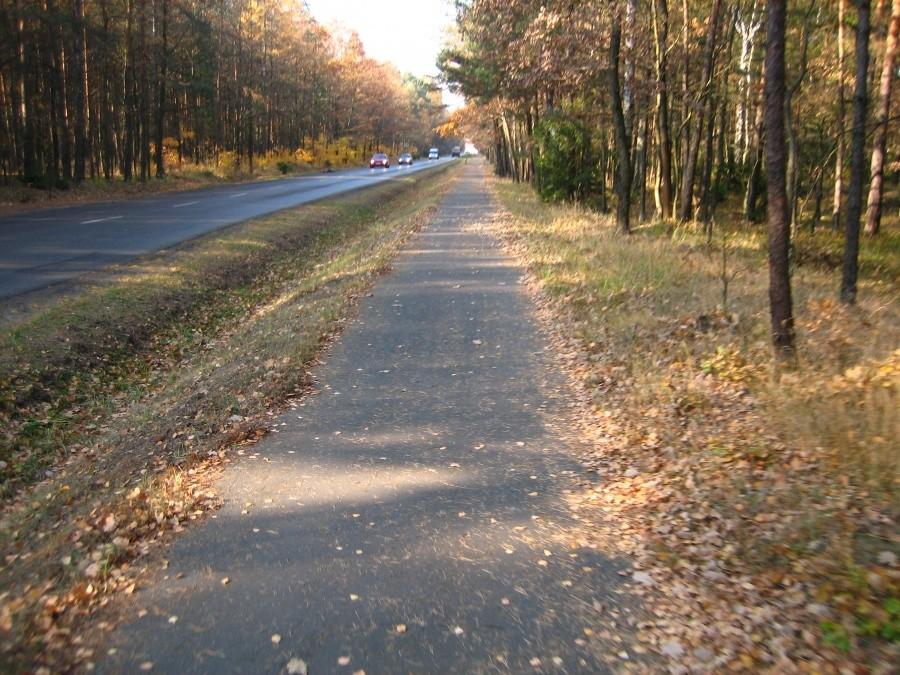 ścieżka rowerowa - wszędzie tak powinno być jak tu - między Kuczowem a Kaletami