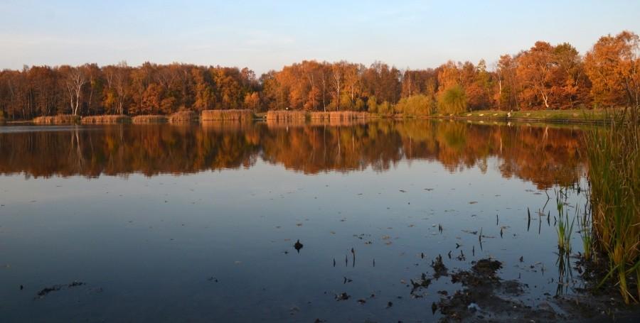 Jezioro w Zabrzu