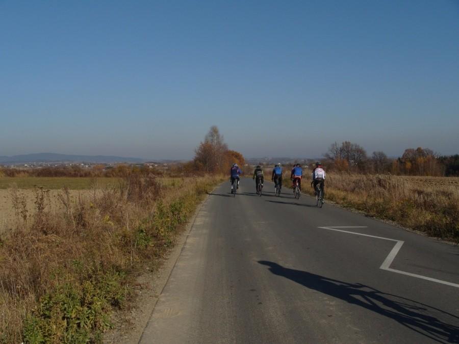 grupa (5)
