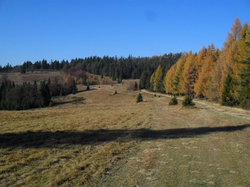 hala, okolice Obidzy