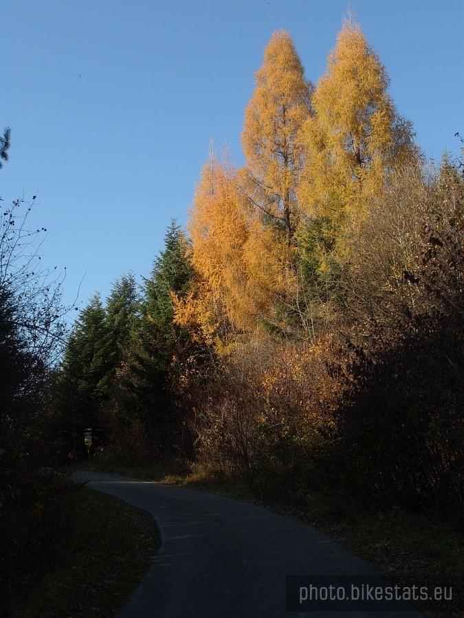 jesienne kolory podjazdu