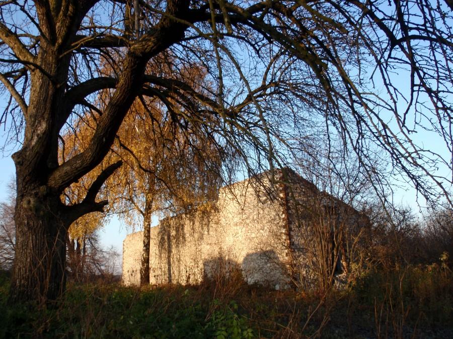 Opuszczony budynek (Przeprośna Górka)