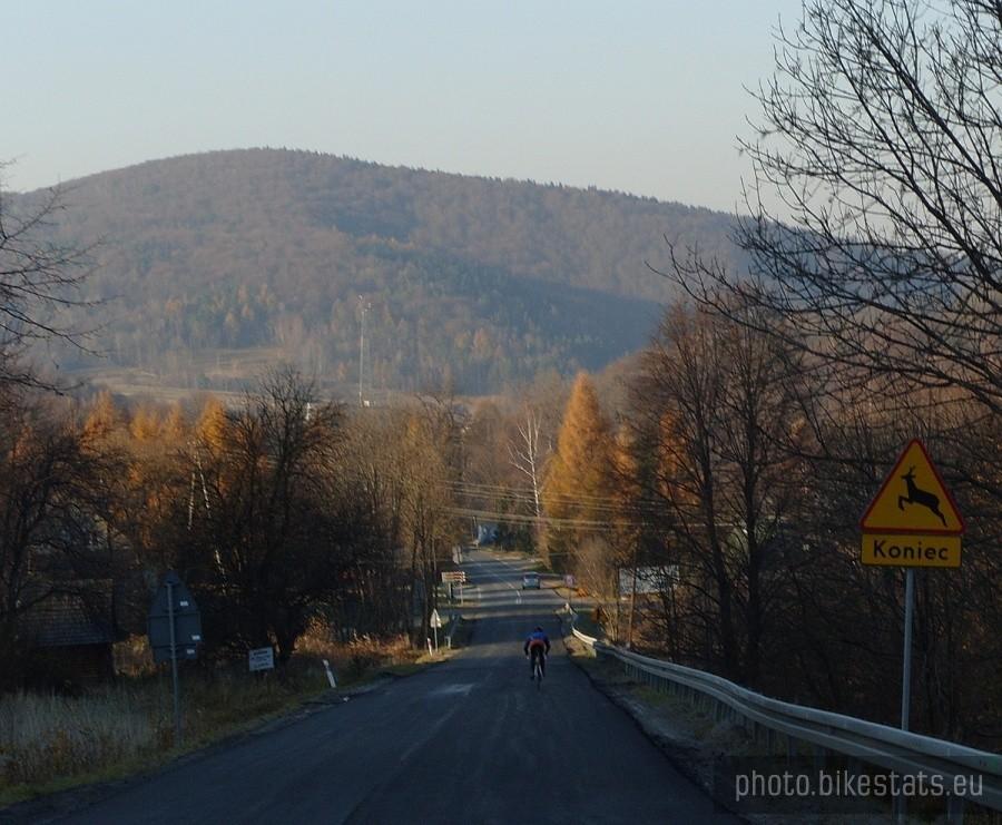 koniec dzikich zwierząt