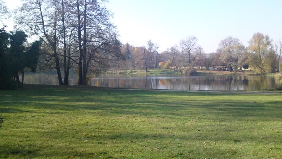 Pałacowy park z oczkiem wodnym
