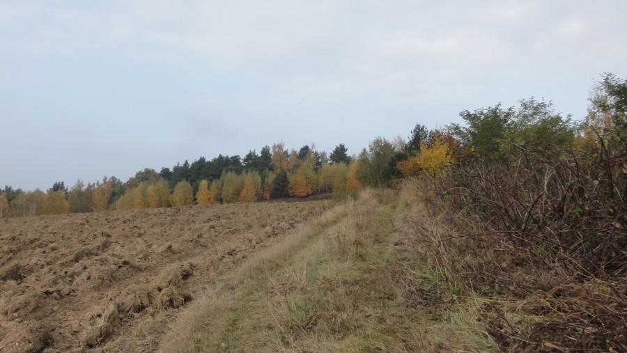 wzgórza trzebnickie