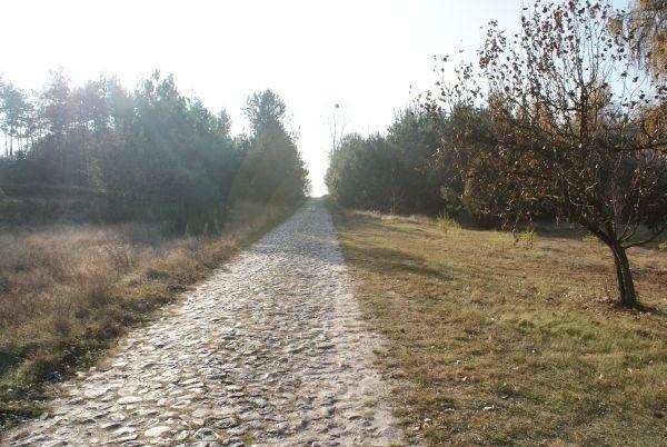 wieś Dzielnica i kocie łby