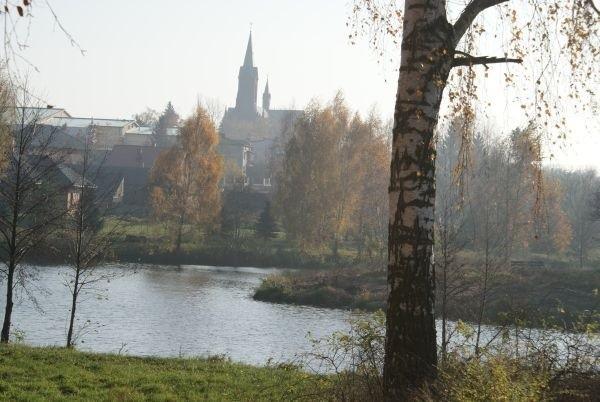 Żelechlinek
