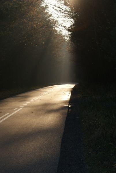 pozazdrościłam jednemu bikestatsowiczowi podobnego zdjęcia....teraz mam swoje :)