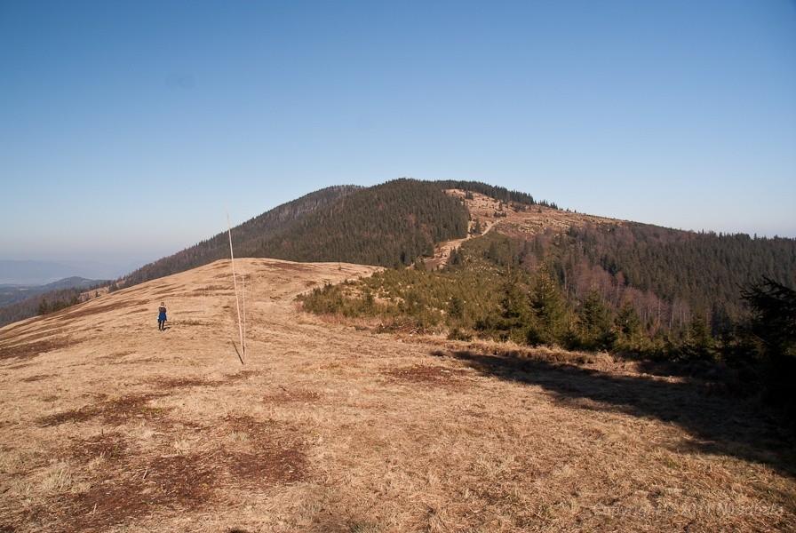 Widoczek