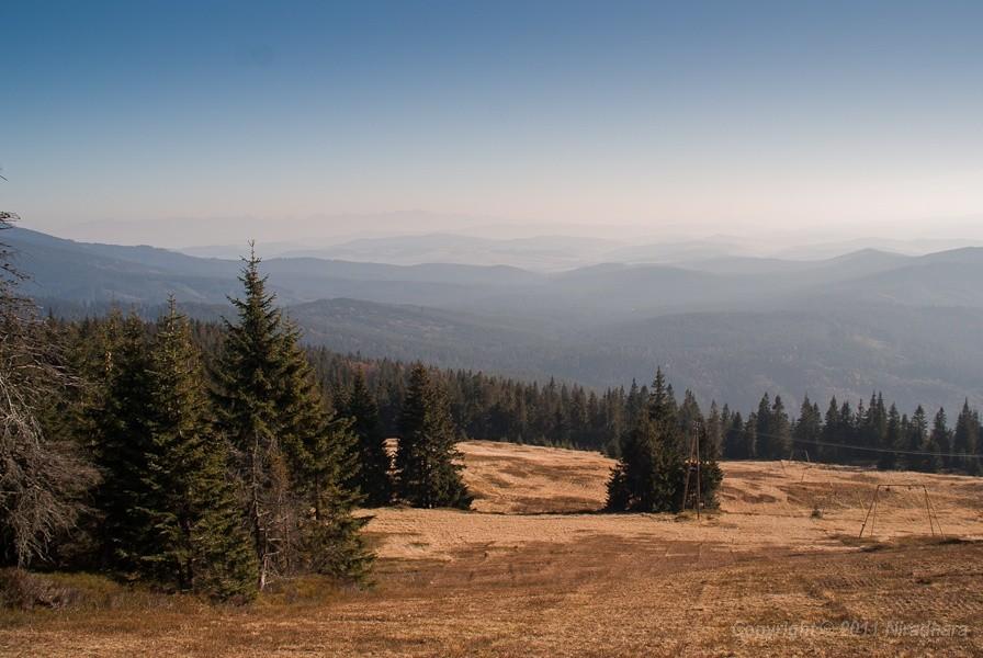 Widoczek