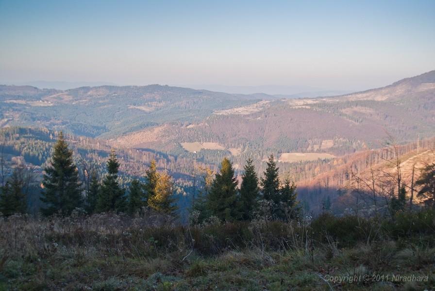 Widoczek