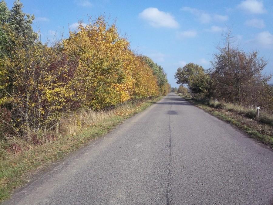 Droga z Piekła w stronę Lasu Mątawskiego