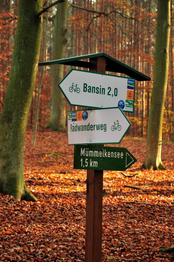 Oznaczenie ścieżki rowerowej