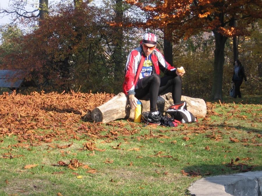 Andrzej i jego pień