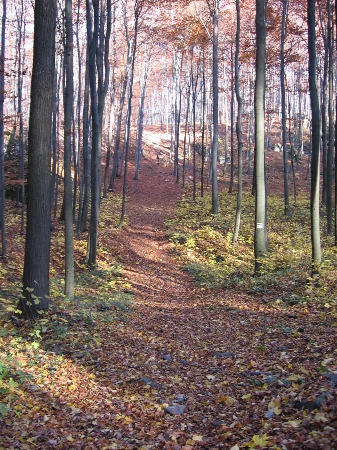 Tu zjechał Krzysiek
