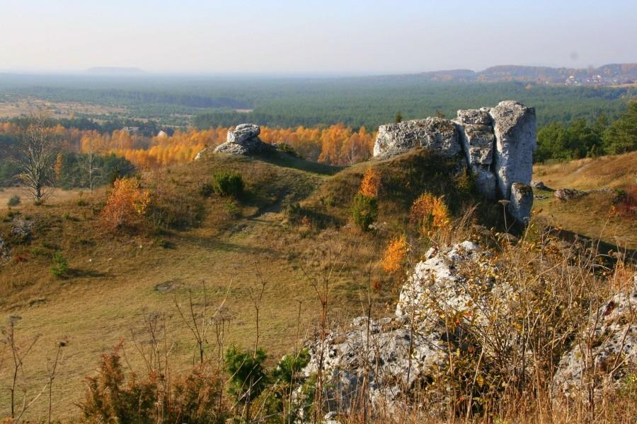 Widok z Lipówek