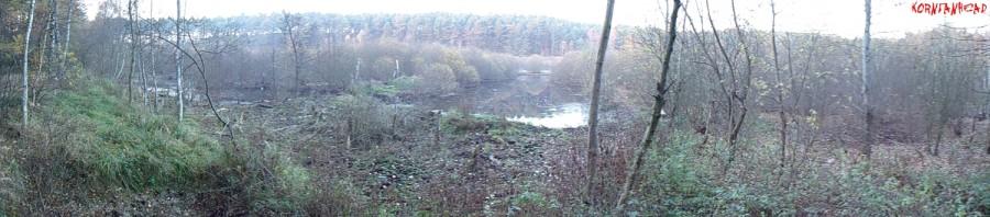 Bagienna panorama