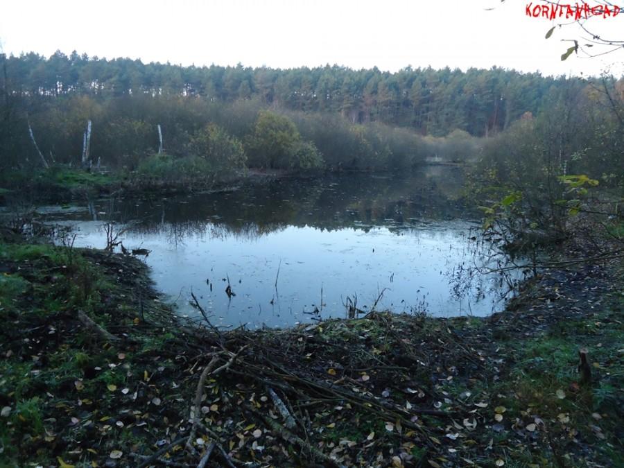 Bagno ciszą jesienną