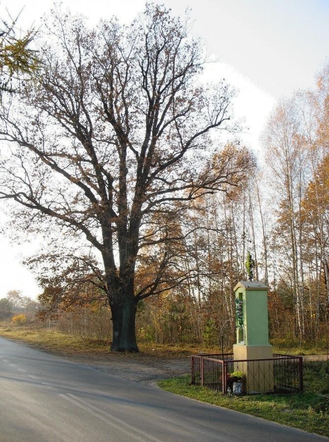 Obręb - Julianów - kapliczka