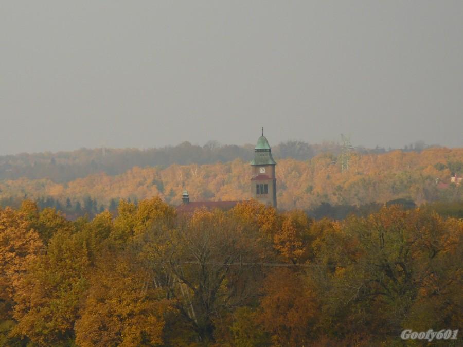 Kościół w Rokitnicy.