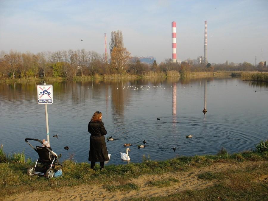Nad Jeziorkiem Czerniakowskim