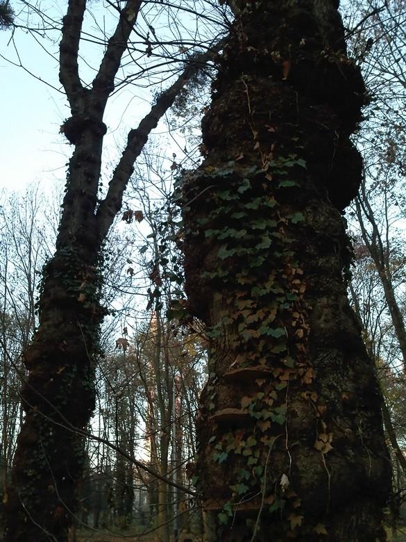 Park im.Rejtana w Łodzi