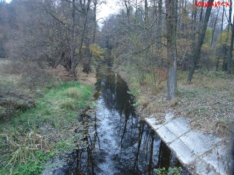 Struga