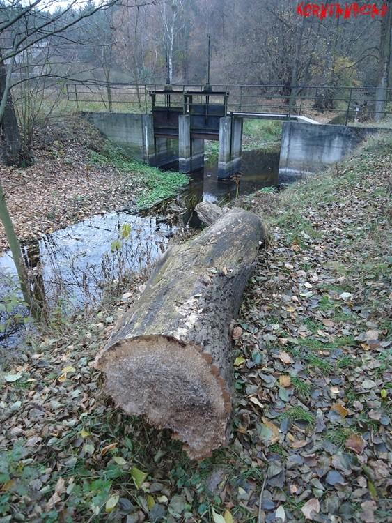 Mała zapora wodna na strudze