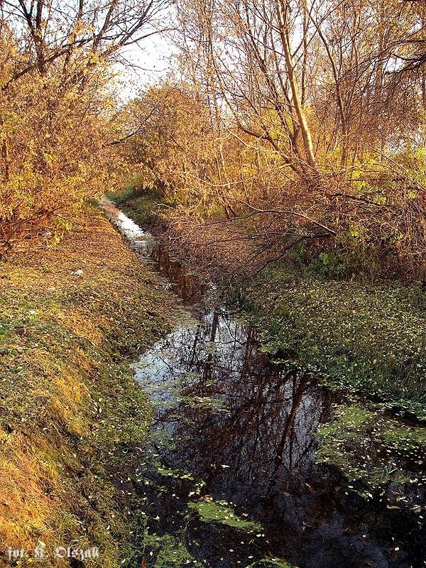 Strumień na Sielcach