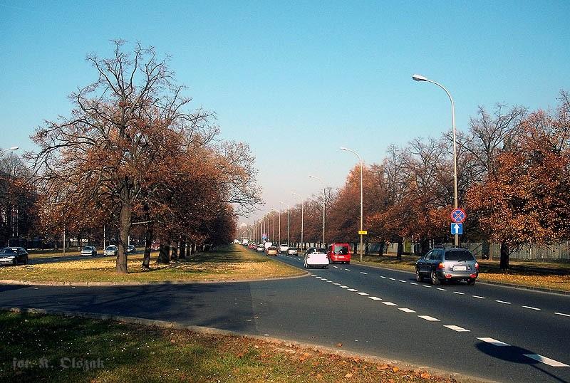 Jesień na Żwirki i Wigury