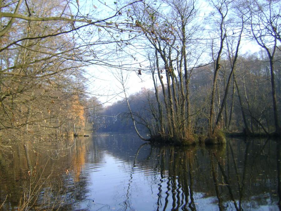Widoczek z Niebieskich Źródeł