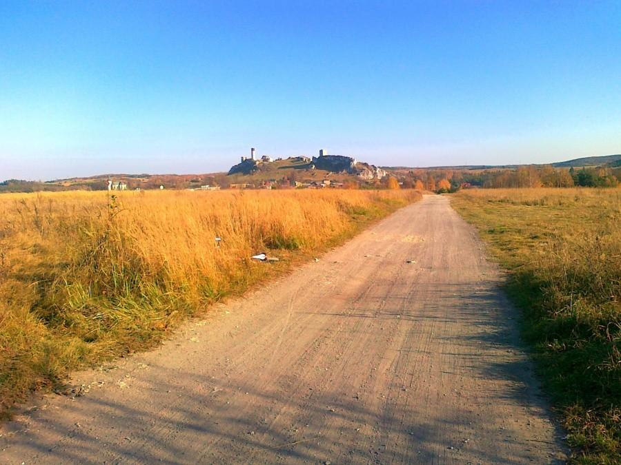 Zamek w Olsztynie ze Skrajnicy.