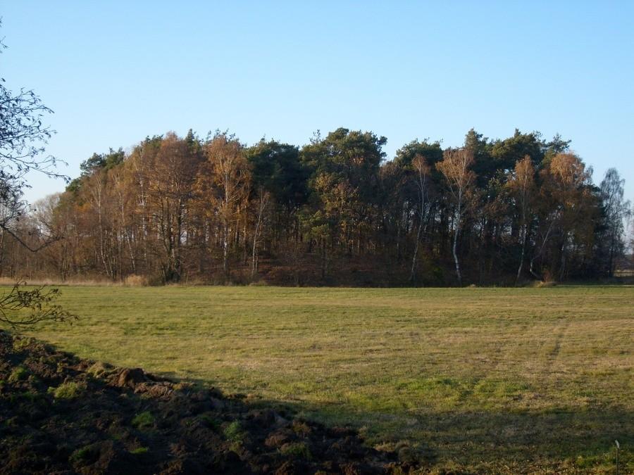 Grodzisko w Jarantowie