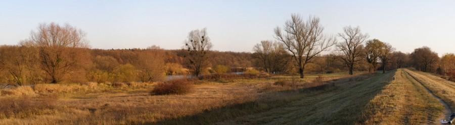 wał nad Odrą koło Nowej Karczmy