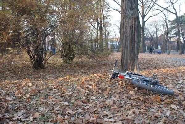 Kitek znów leży - podobają mu się chyba liście ;)