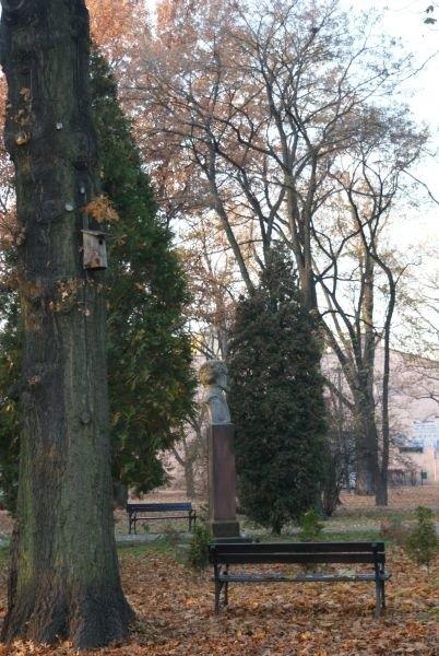 Park Rodego