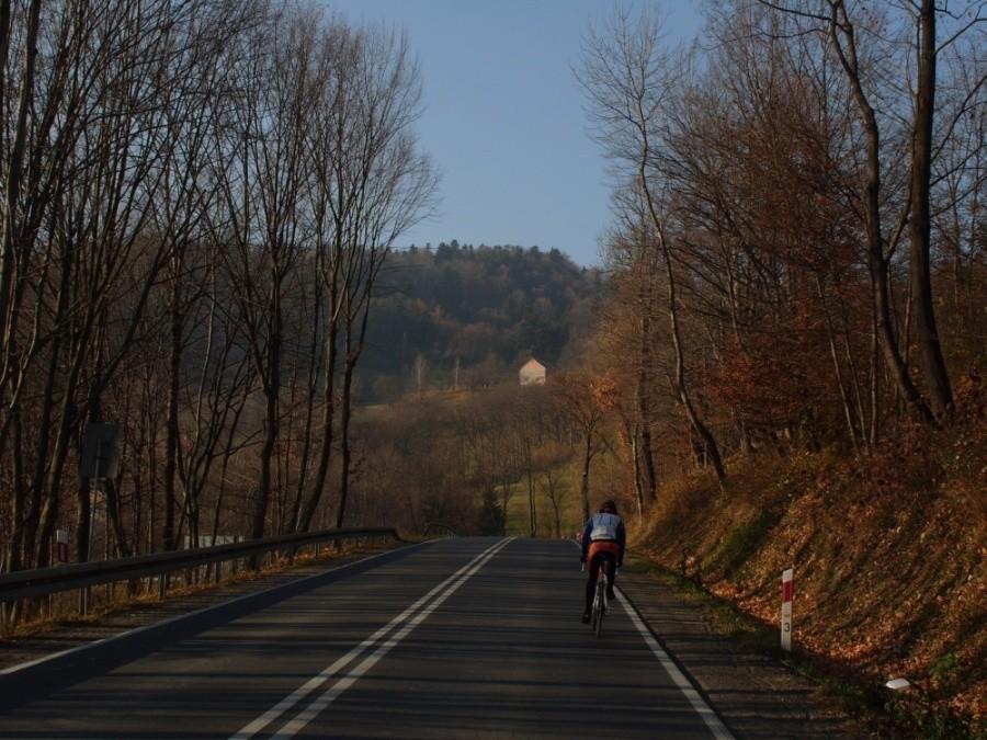 w Szymbarku