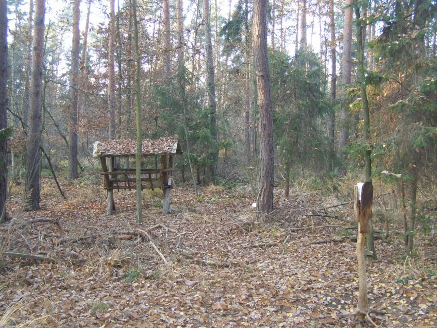 paśnik w Lesie Mokrzańskim
