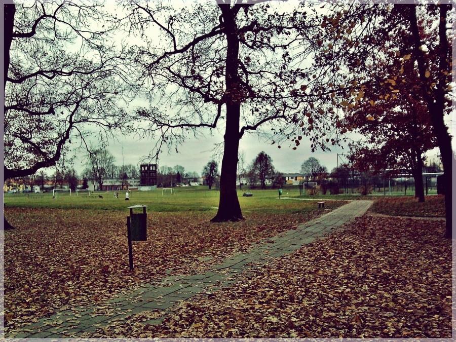 Błonia Puławskie