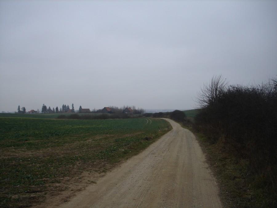 Droga Olszak - Krasna Łąka