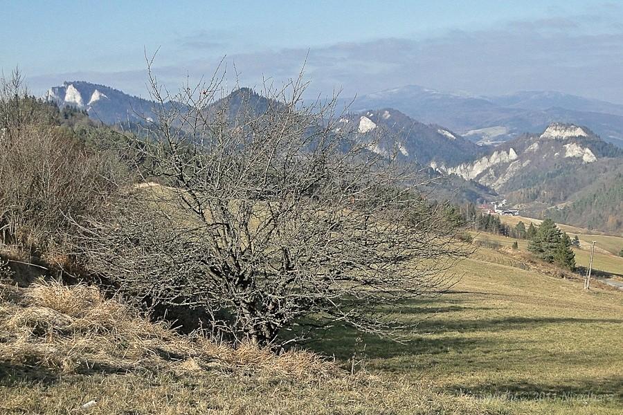 Widok z Tokarni jest niezapomniany