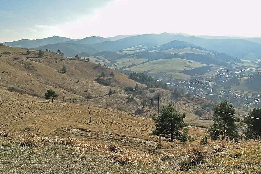 Widoczek