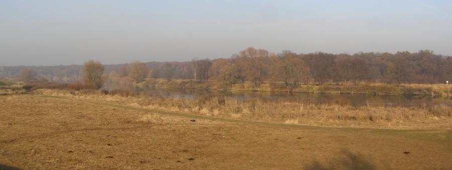 jesień nad Odrą