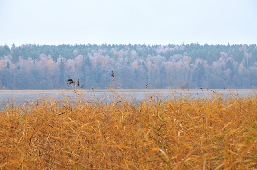 Jezioro Serwent