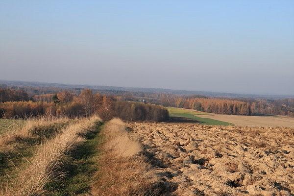Widok spod krzyża