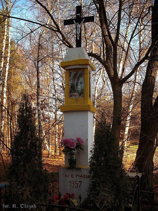 Obrazki z rajdu (6)