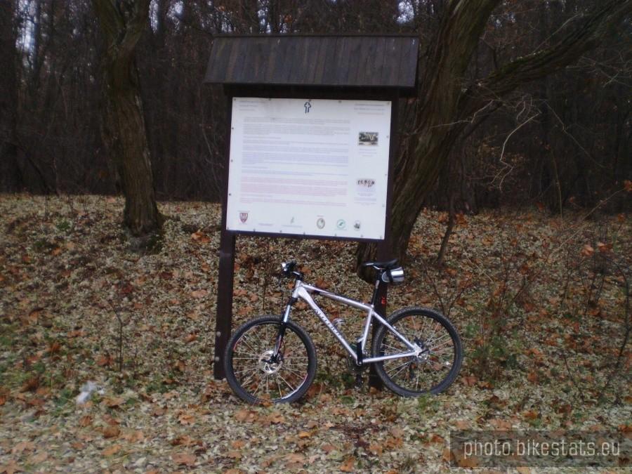 Tablica informacyjna przed Wierzonką