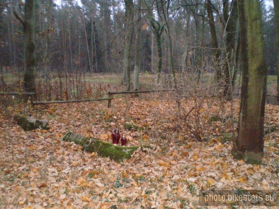 Groby przy drodze Wierzonka - Barcinek