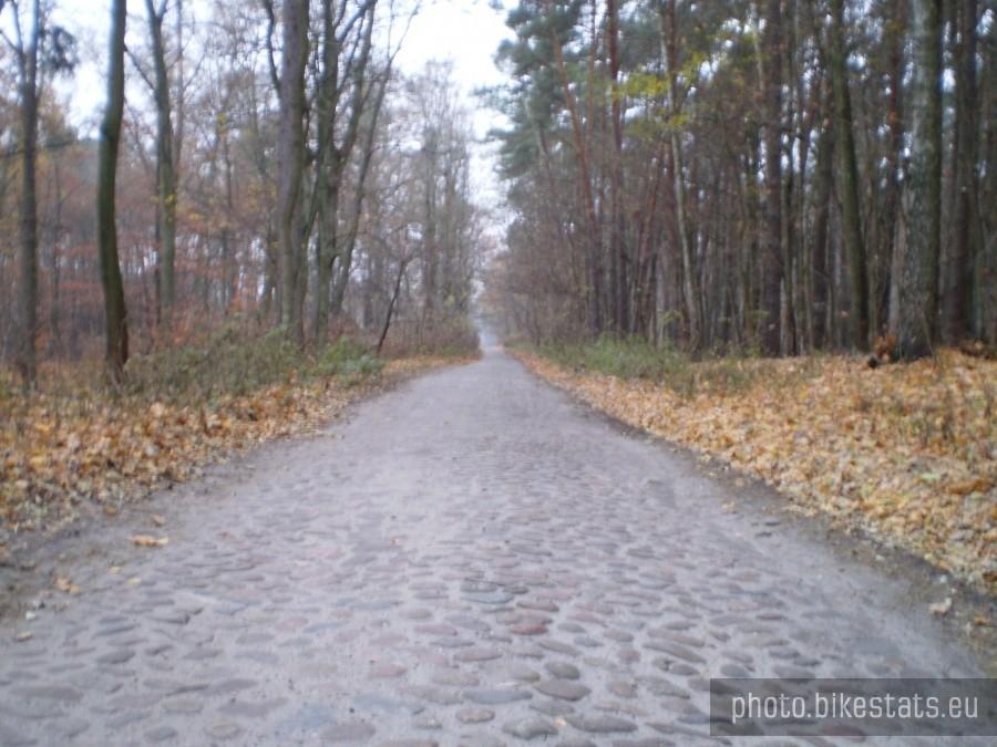 Droga Wierzonka - Barcinek